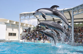 新潟市水族館マリンピア日本海の写真