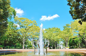 蕨市民公園の写真