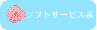 ソフトサービス系